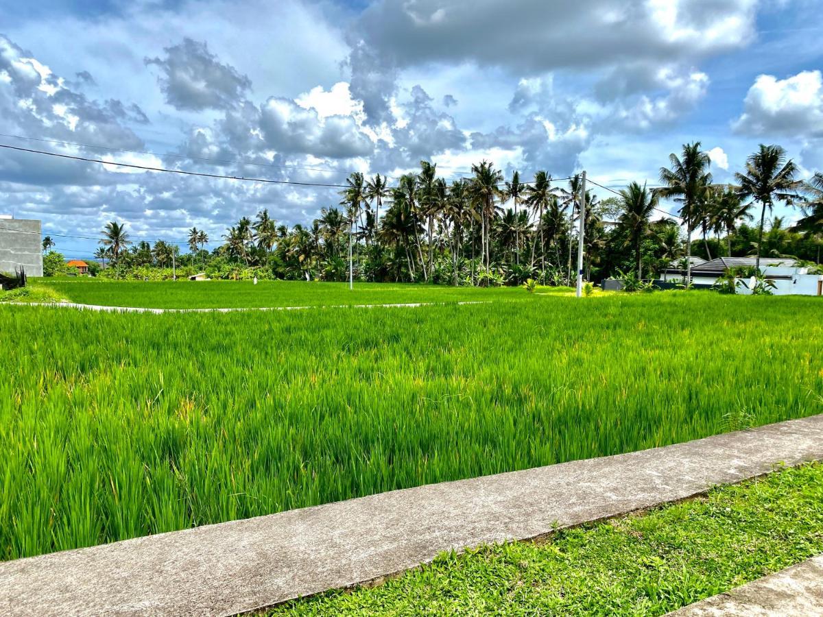 Ubud Mayura Private Pool Villa Exterior foto